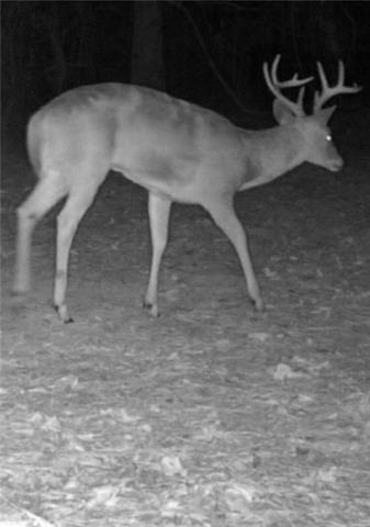 20 Juneau Road Woodworth, LA 71485 - Photo 47 of 47