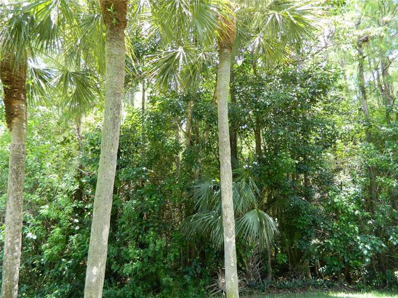 21726 Arriba Real, Unit E Boca Raton, FL 33433 - Photo 8 of 17 View