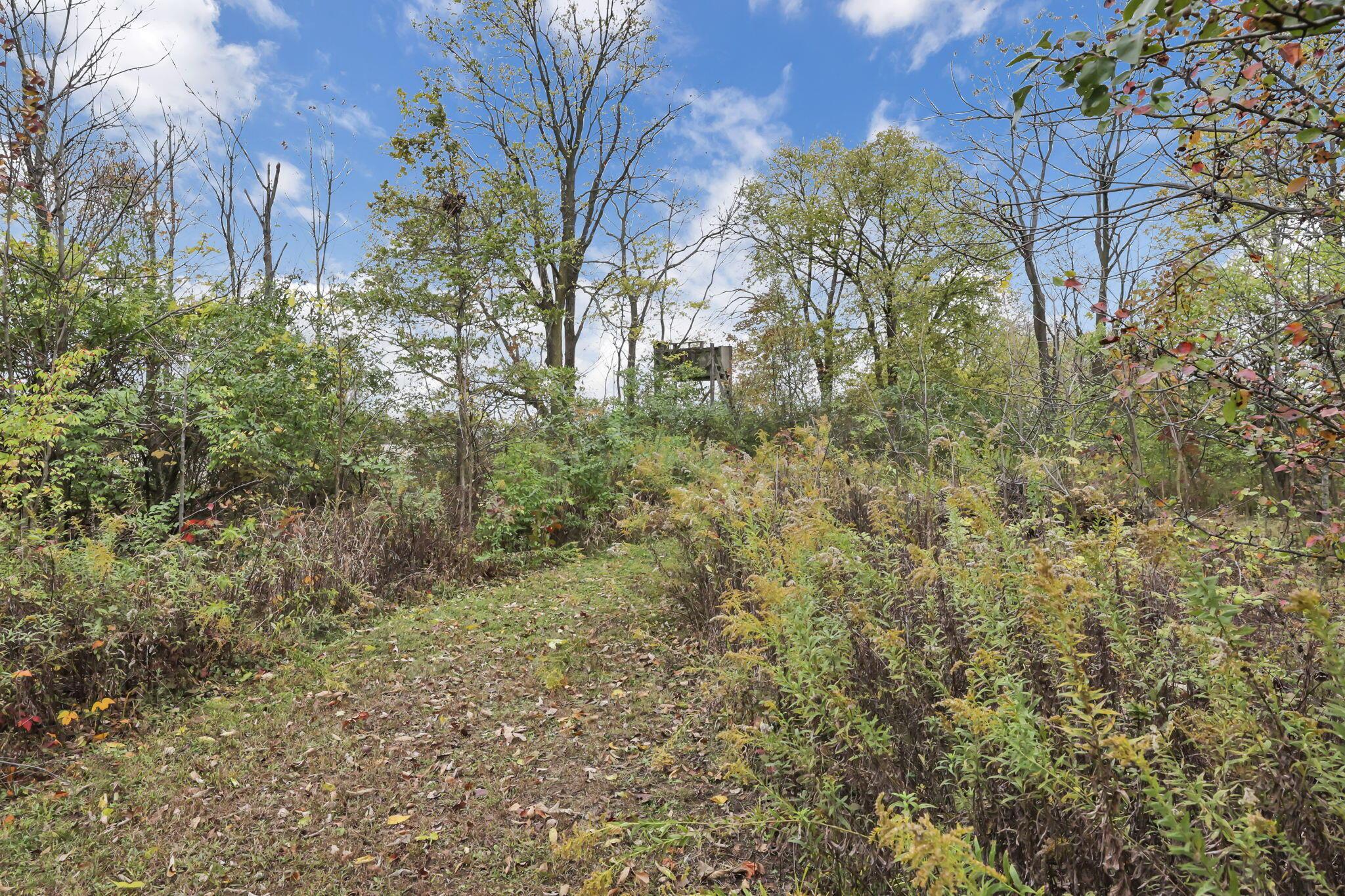 5275 Cosgray Road Dublin, OH 43016 - Photo 62 of 68 73-web-or-mls-011A8814