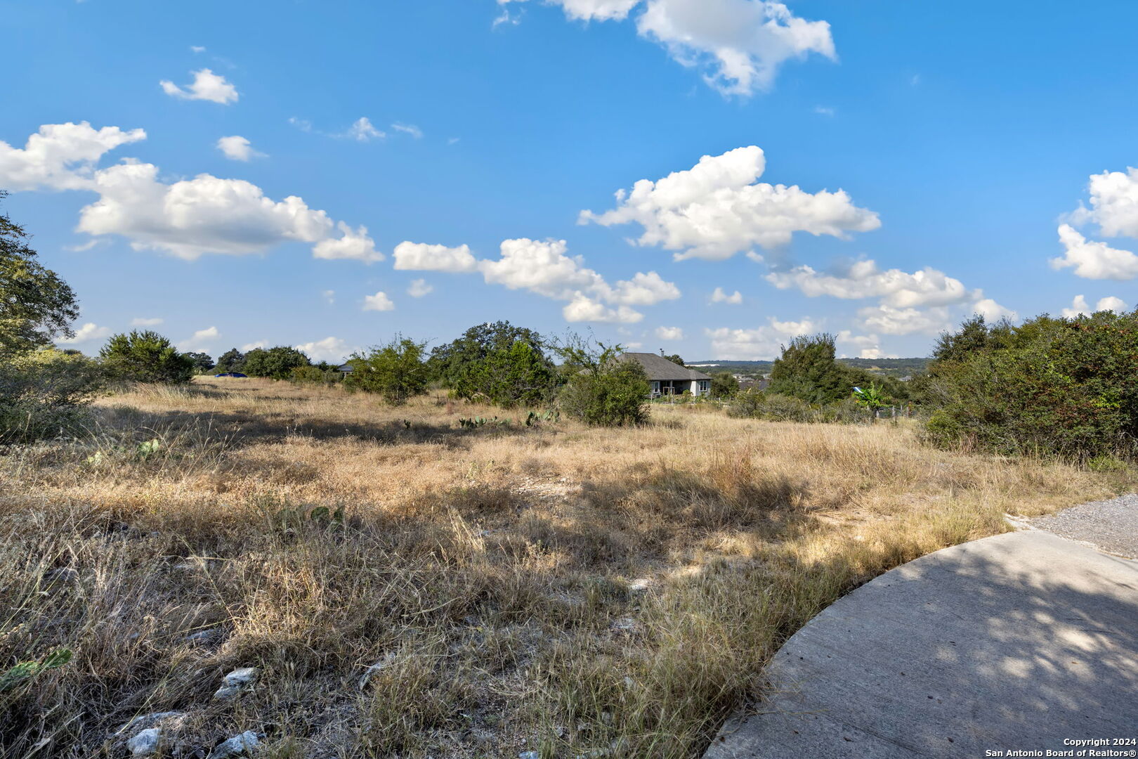 1918 Rothschild New Braunfels, TX 78132 - Photo 4 of 13