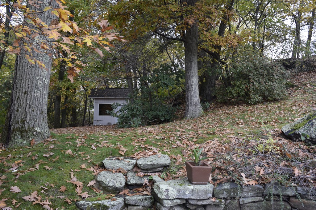 85 Woodcliff Road Brookline, MA 02467 - Photo 23 of 27
