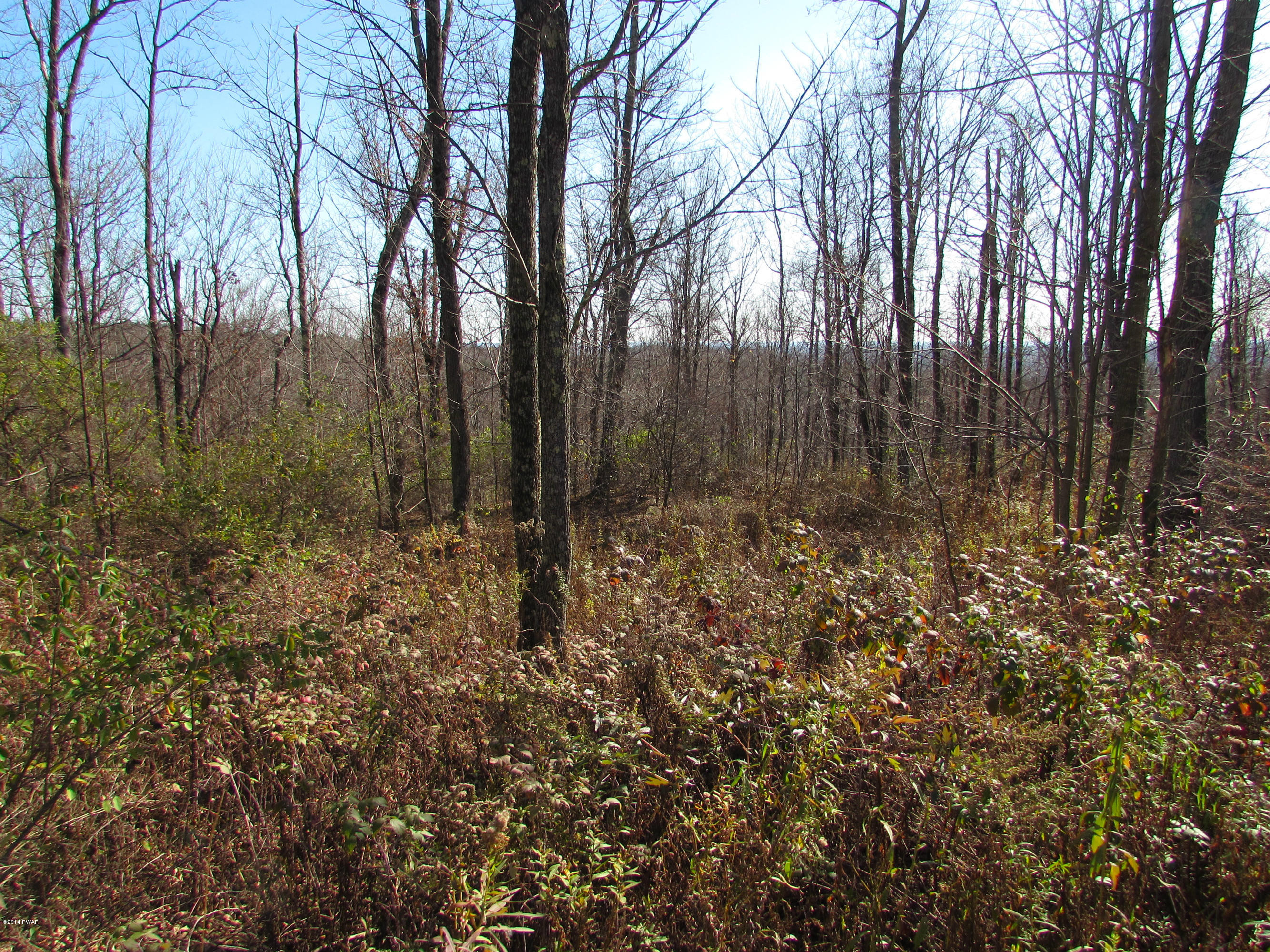 Flat Rock Road Tyler Hill, PA 18469 - Photo 3 of 4