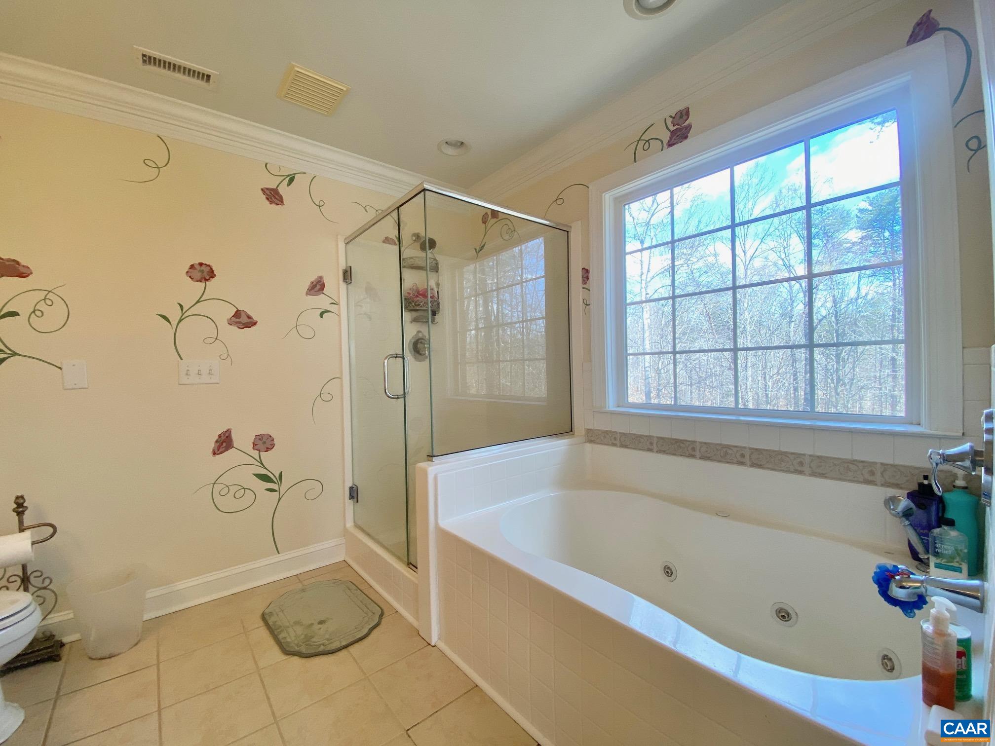 4605 Blue Run Road Somerset, VA 22972 - Photo 25 of 62