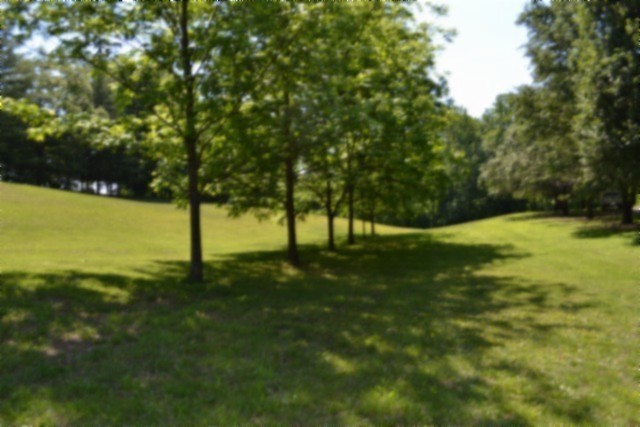 318 Rock Springs Road Celina, TN 38551 - Photo 56 of 87