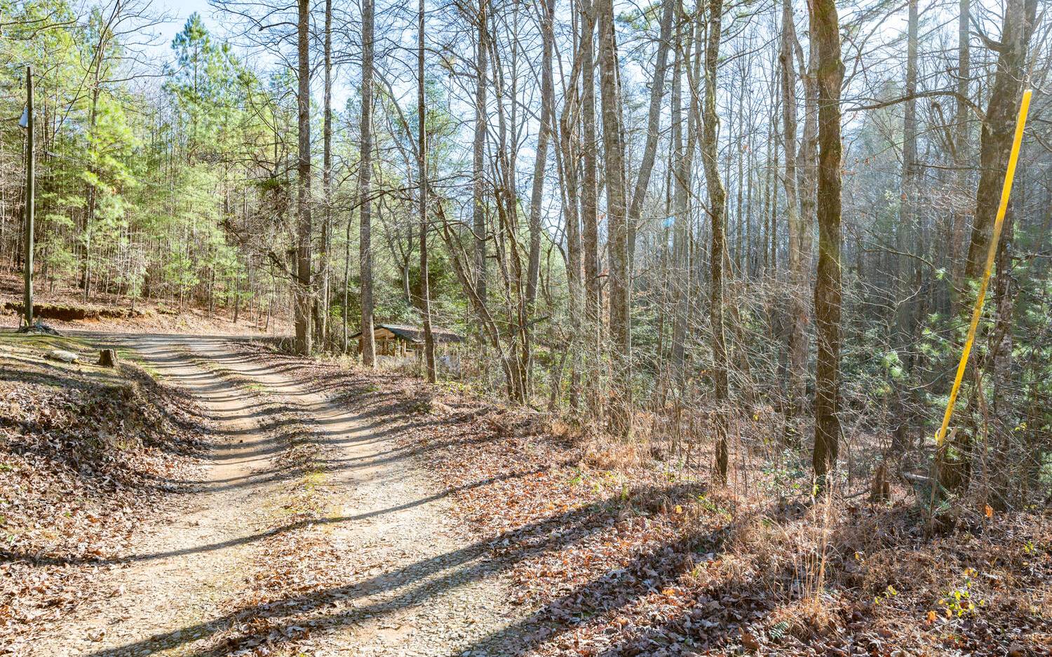 0 Charlotte's Mountain Road Ellijay, GA 30540 - Photo 11 of 20 Additional View