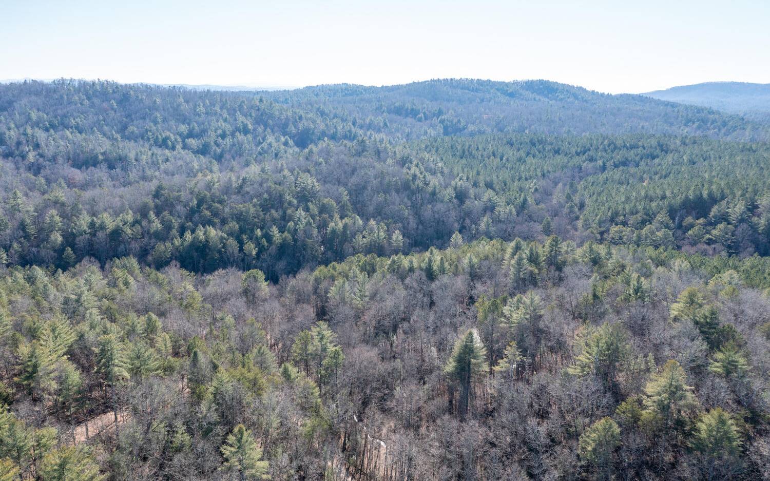 0 Charlotte's Mountain Road Ellijay, GA 30540 - Photo 12 of 20 Additional View