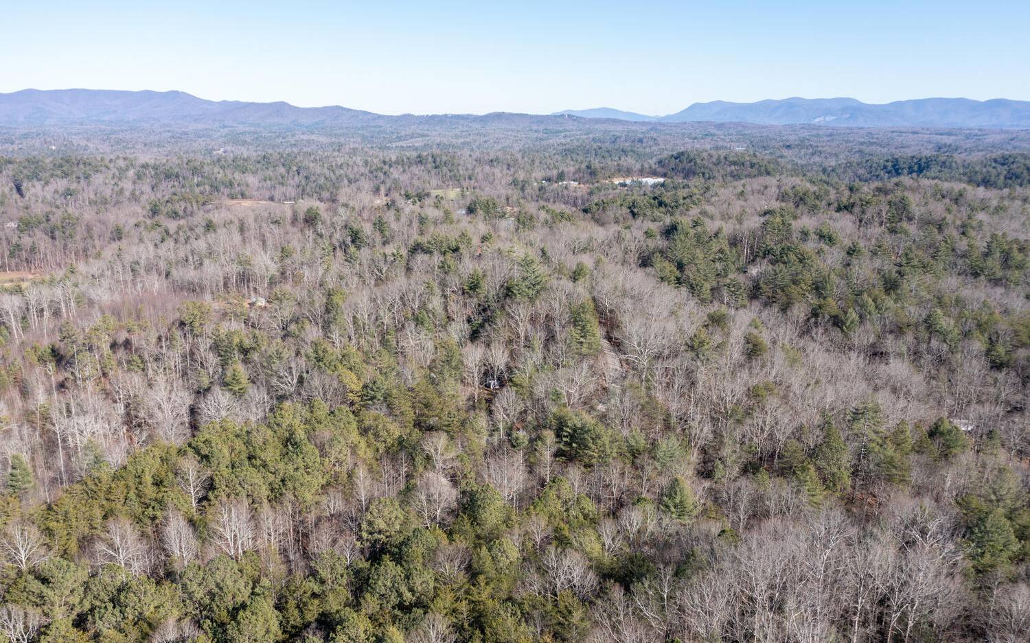 0 Charlotte's Mountain Road Ellijay, GA 30540 - Photo 16 of 20 Additional View