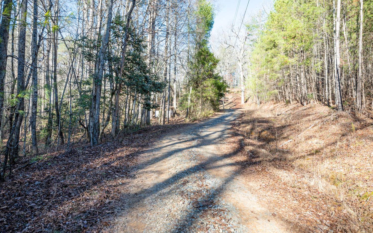 0 Charlotte's Mountain Road Ellijay, GA 30540 - Photo 17 of 20 Additional View