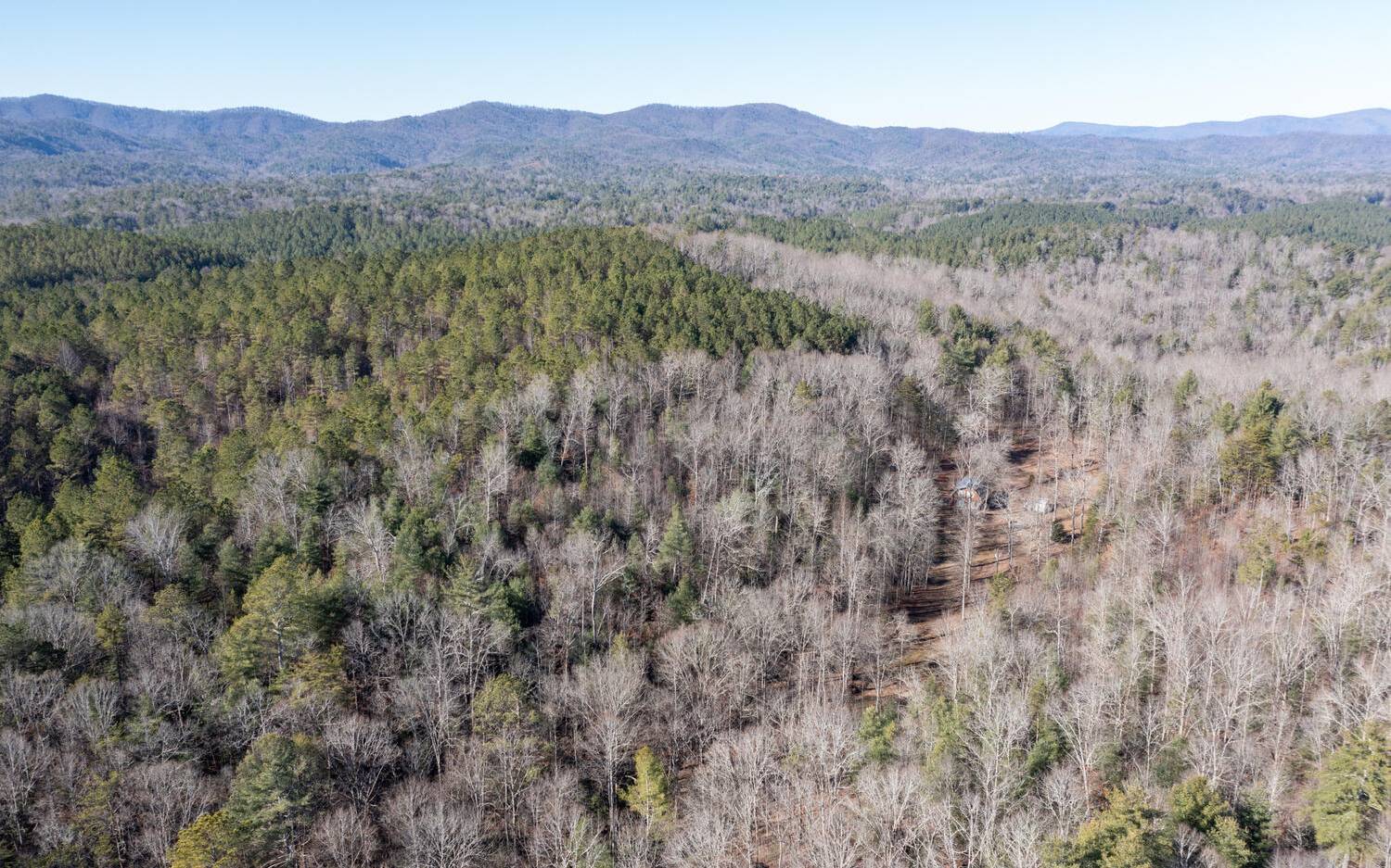 0 Charlotte's Mountain Road Ellijay, GA 30540 - Photo 18 of 20 Additional View