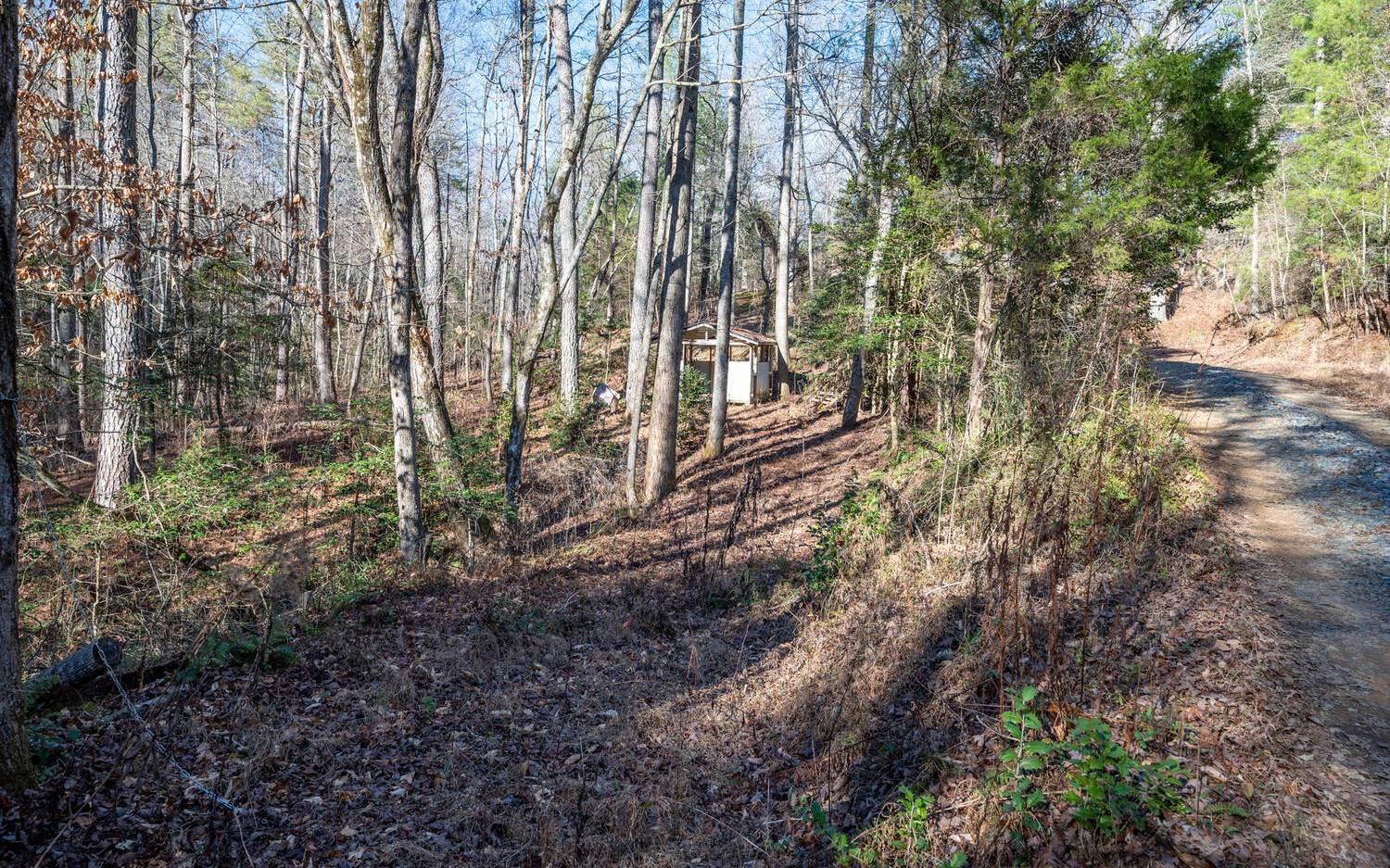 0 Charlotte's Mountain Road Ellijay, GA 30540 - Photo 19 of 20 Additional View