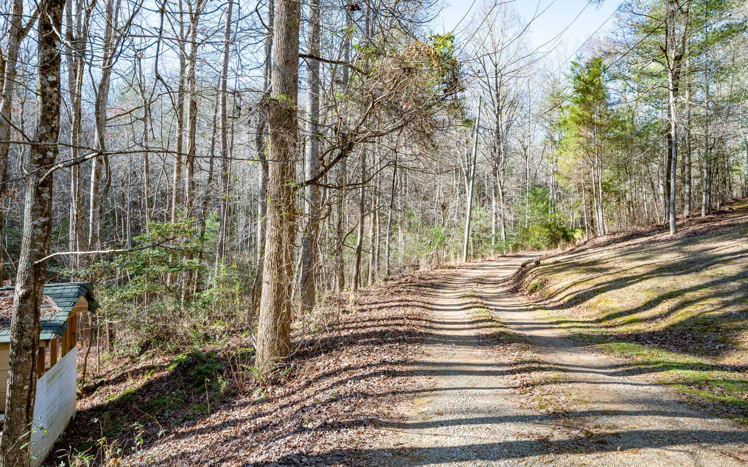 0 Charlotte's Mountain Road Ellijay, GA 30540 - Photo 4 of 20 Additional View
