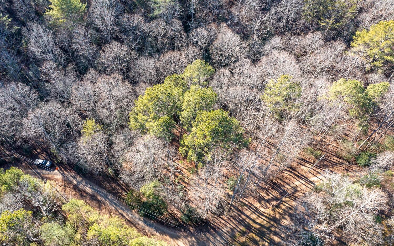 0 Charlotte's Mountain Road Ellijay, GA 30540 - Photo 5 of 20 Additional View