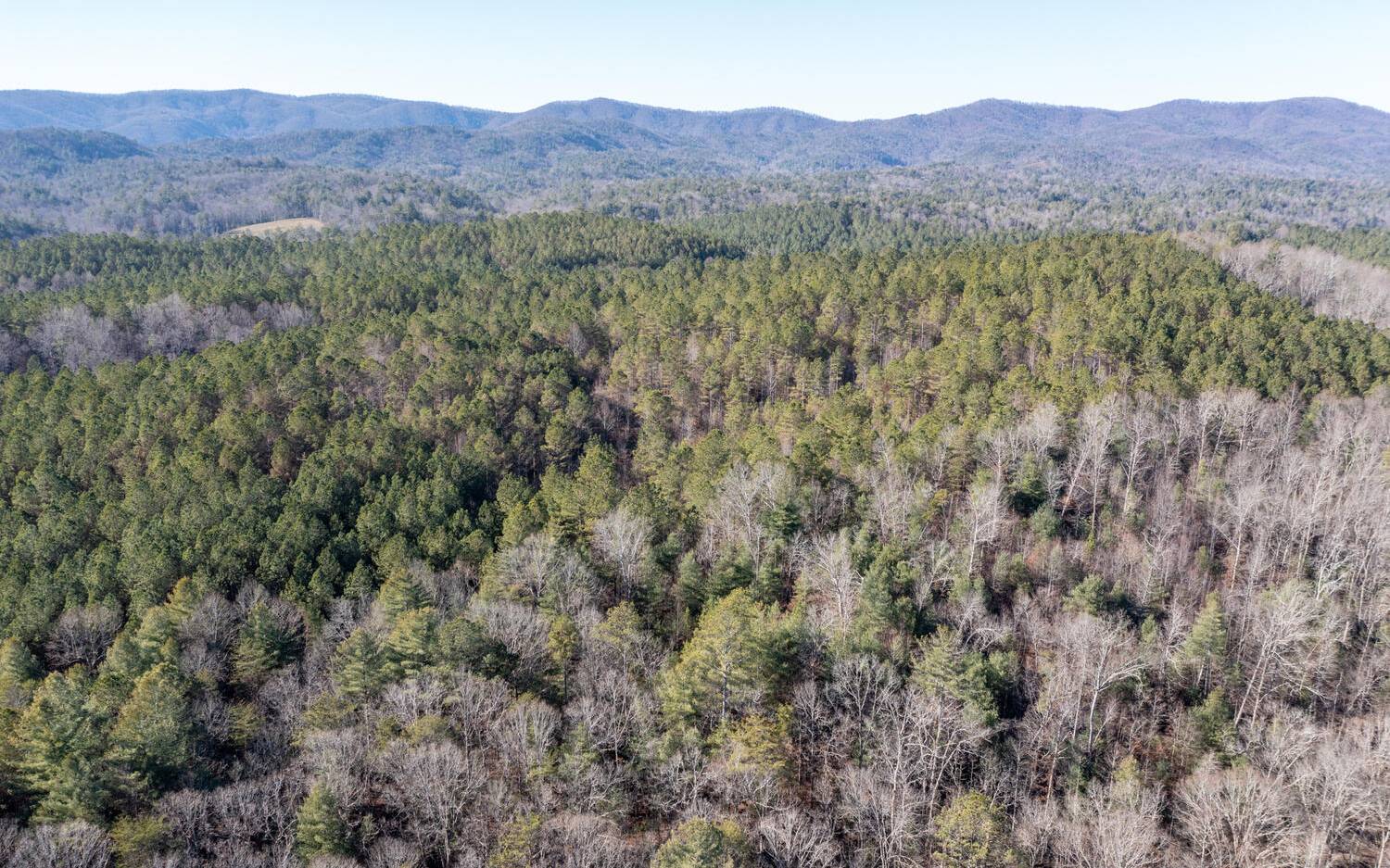 0 Charlotte's Mountain Road Ellijay, GA 30540 - Photo 6 of 20 Additional View