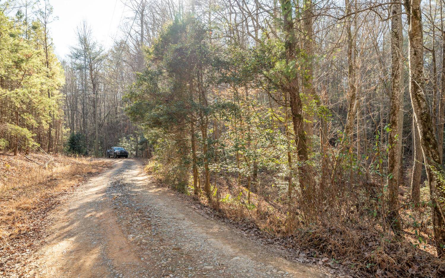 0 Charlotte's Mountain Road Ellijay, GA 30540 - Photo 7 of 20 Additional View