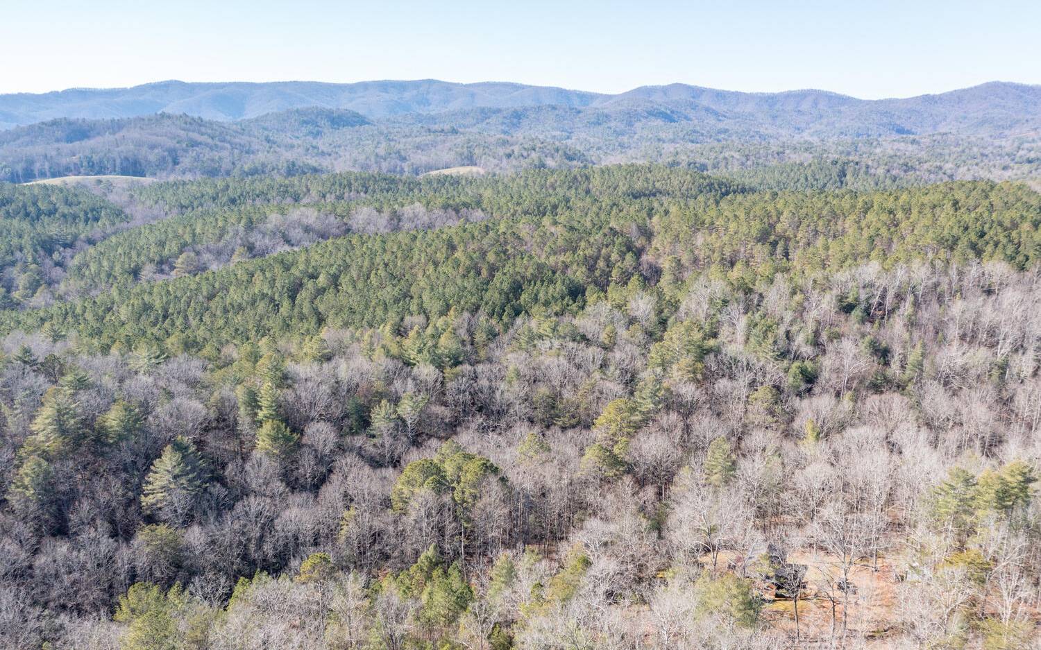 0 Charlotte's Mountain Road Ellijay, GA 30540 - Photo 8 of 20 Additional View