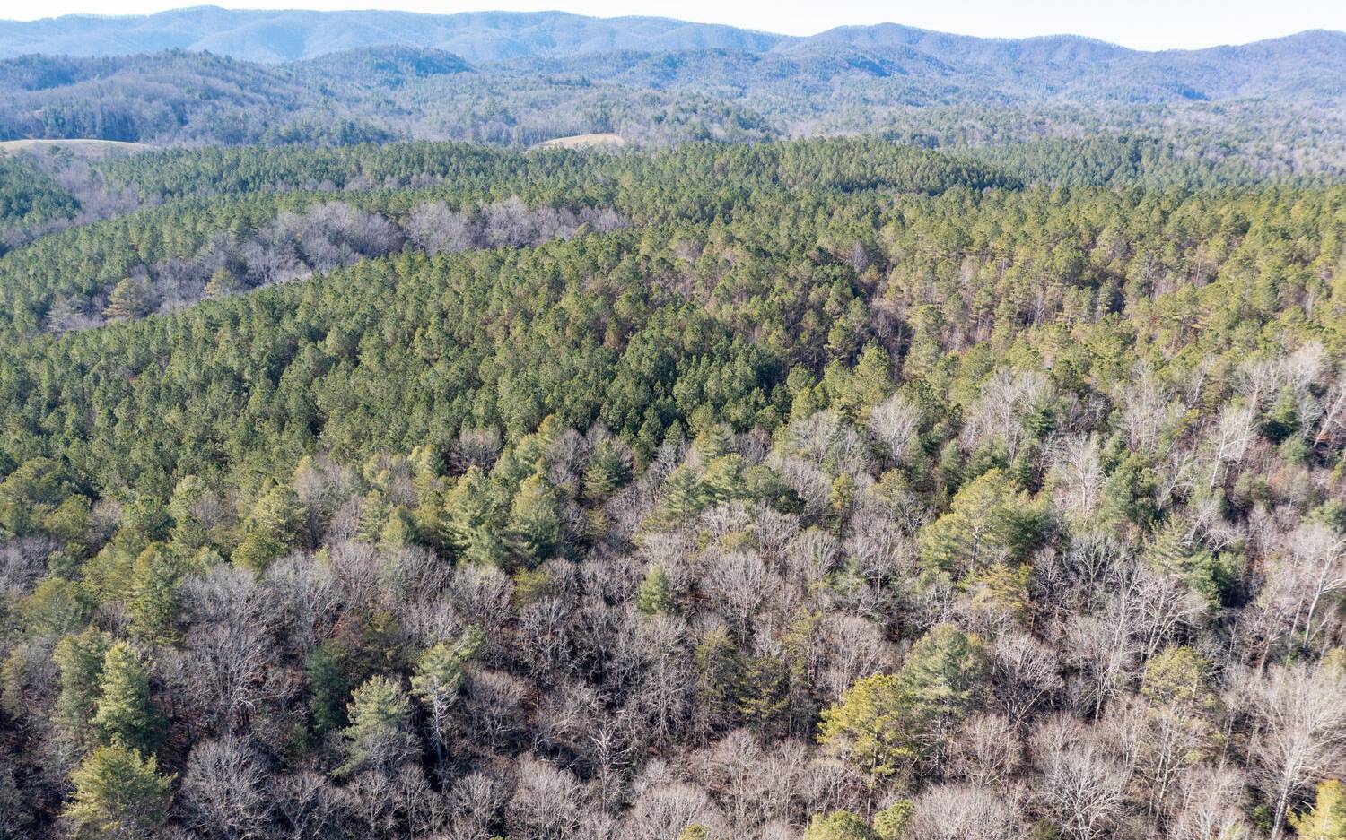 0 Charlotte's Mountain Road Ellijay, GA 30540 - Photo 10 of 20 Additional View