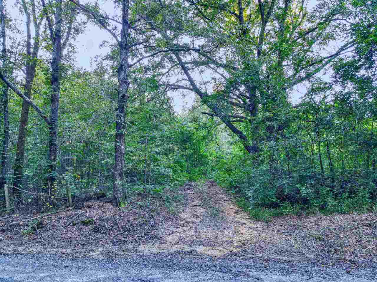 0 Turner Bridge Road Meansville, GA 30204 - Photo 1 of 1 Gallery Image 1