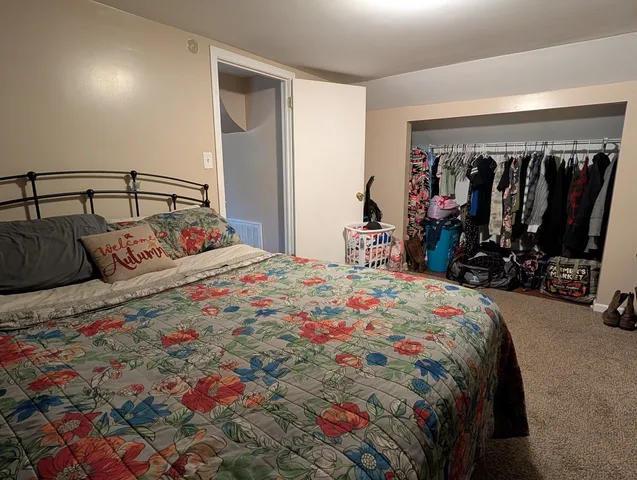 a bedroom with a bed and a closet