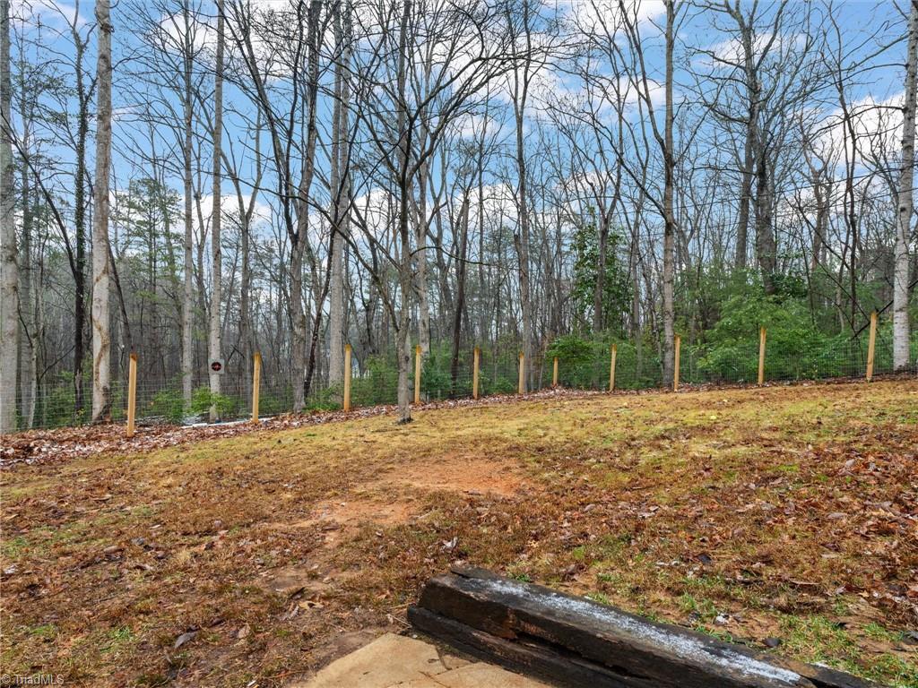 710 Greenhill Road Mount Airy, NC 27030 - Photo 20 of 21 Gallery Image 20