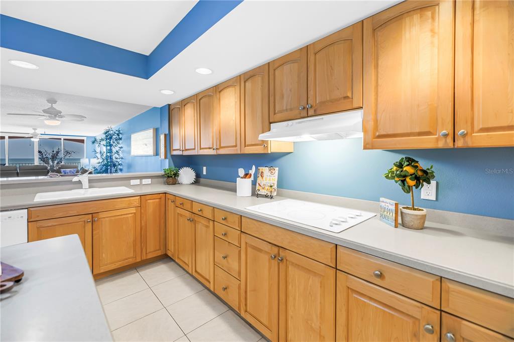 16326 Gulf Boulevard, Unit 308 Redington Beach, FL 33708 - Photo 6 of 57