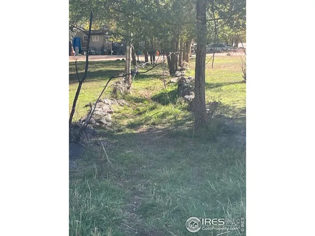 a view of a small yard