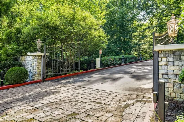 a view of a path along with potted plants