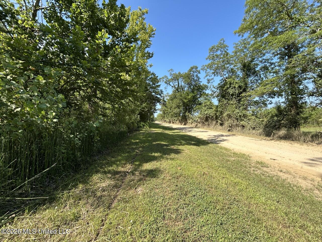 Annas Bottom Road Natchez, MS 39120 - Photo 29 of 48 IMG_4781 Large