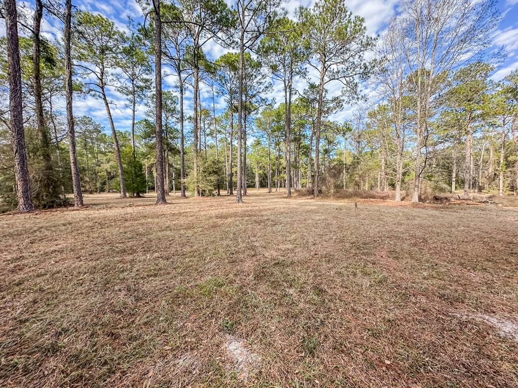 347 North Martin Street Geneva, AL 36340 - Photo 36 of 42