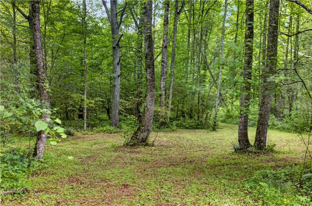 0 Parksbrook Road Ellijay, GA 30540 - Photo 45 of 67