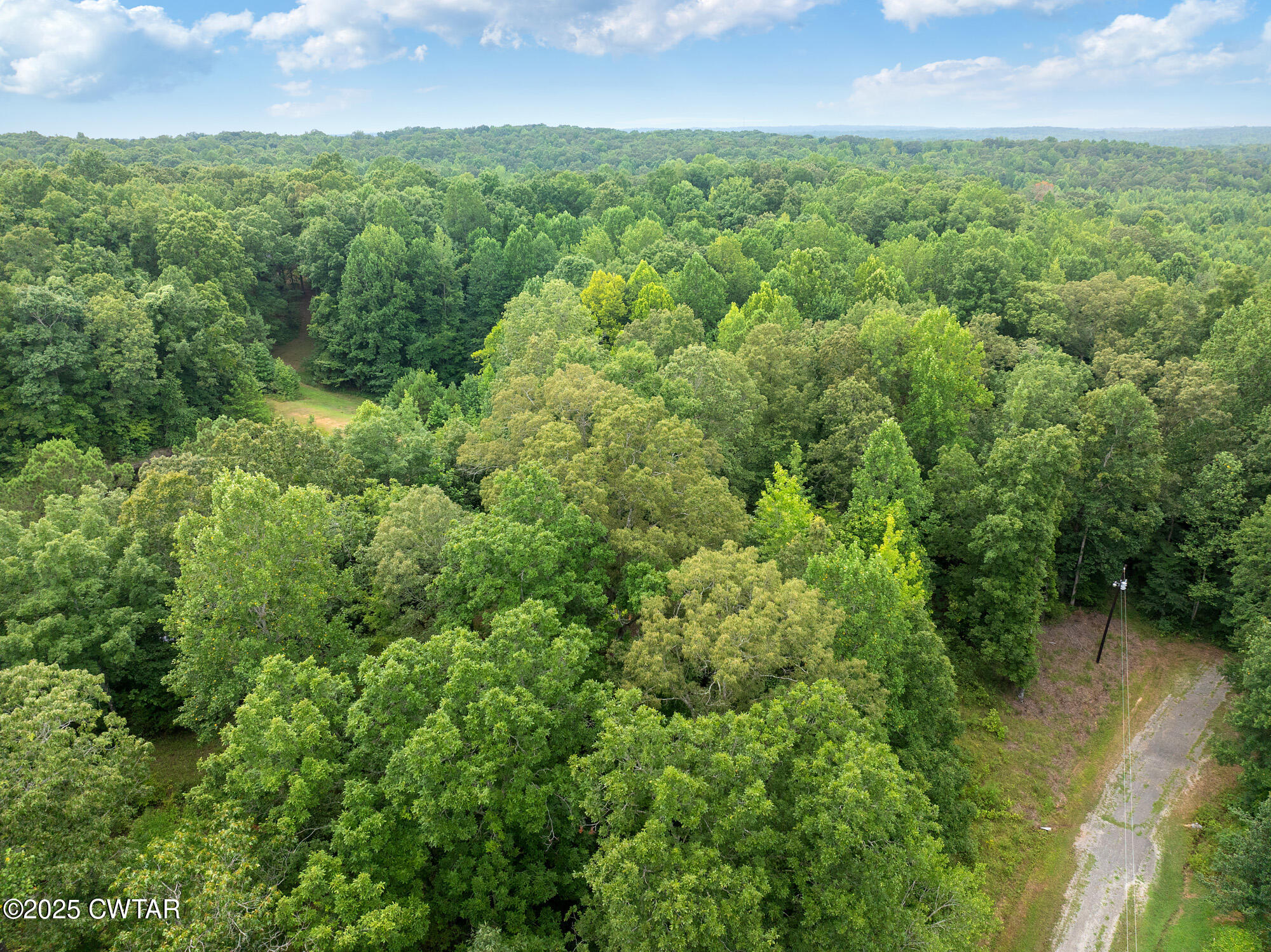 an aerial view of residential houses with outdoor space and trees
