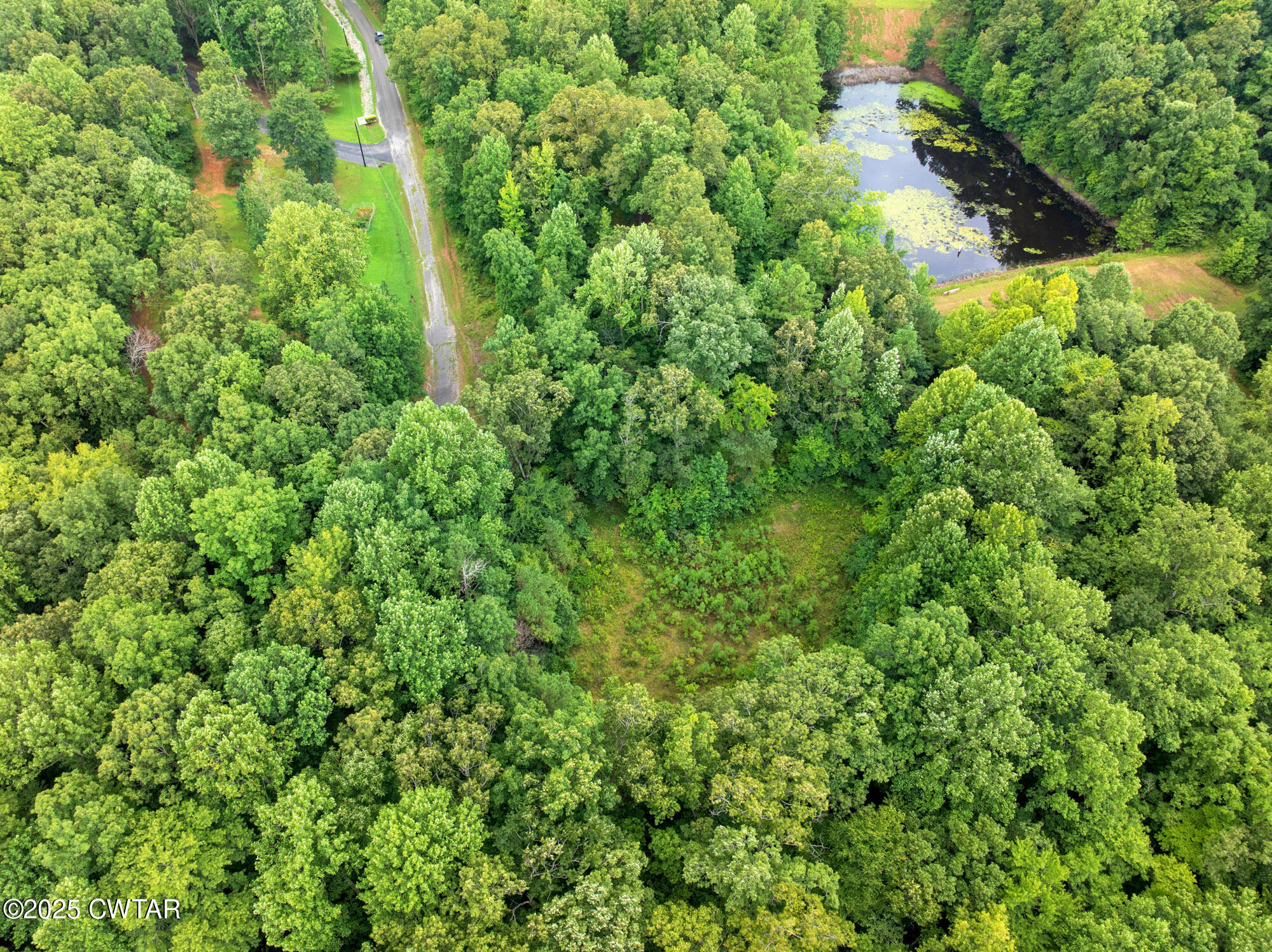255 Jason Hollow Road Cedar Grove, TN 38321 - Photo 11 of 17 a view of a lush green forest
