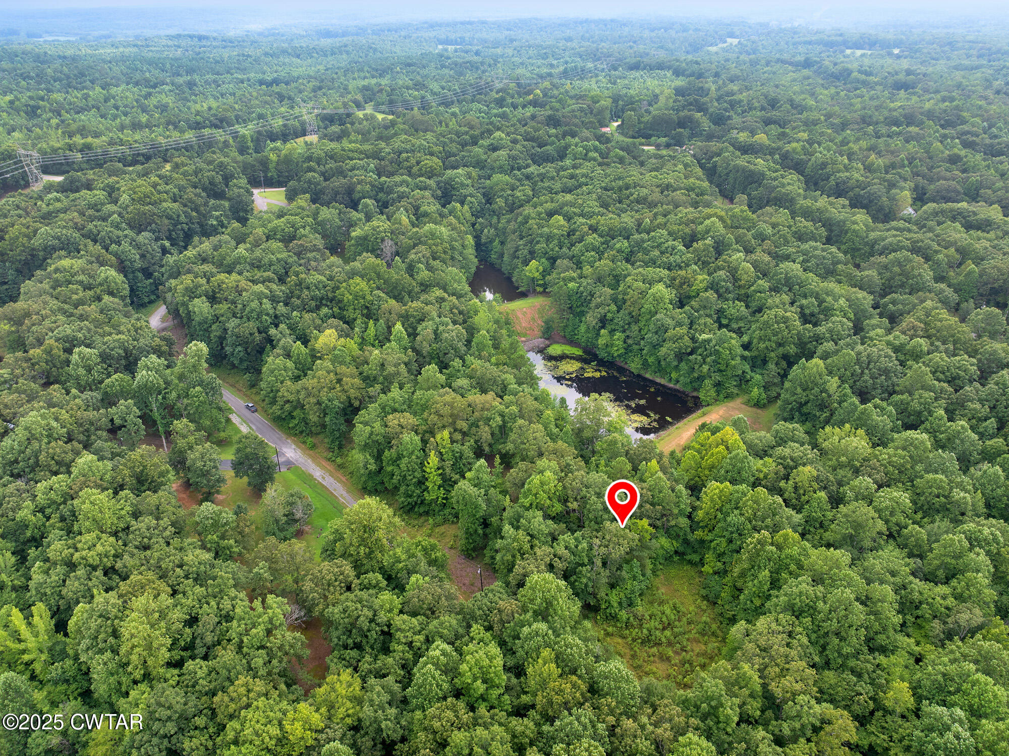 255 Jason Hollow Road Cedar Grove, TN 38321 - Photo 12 of 17