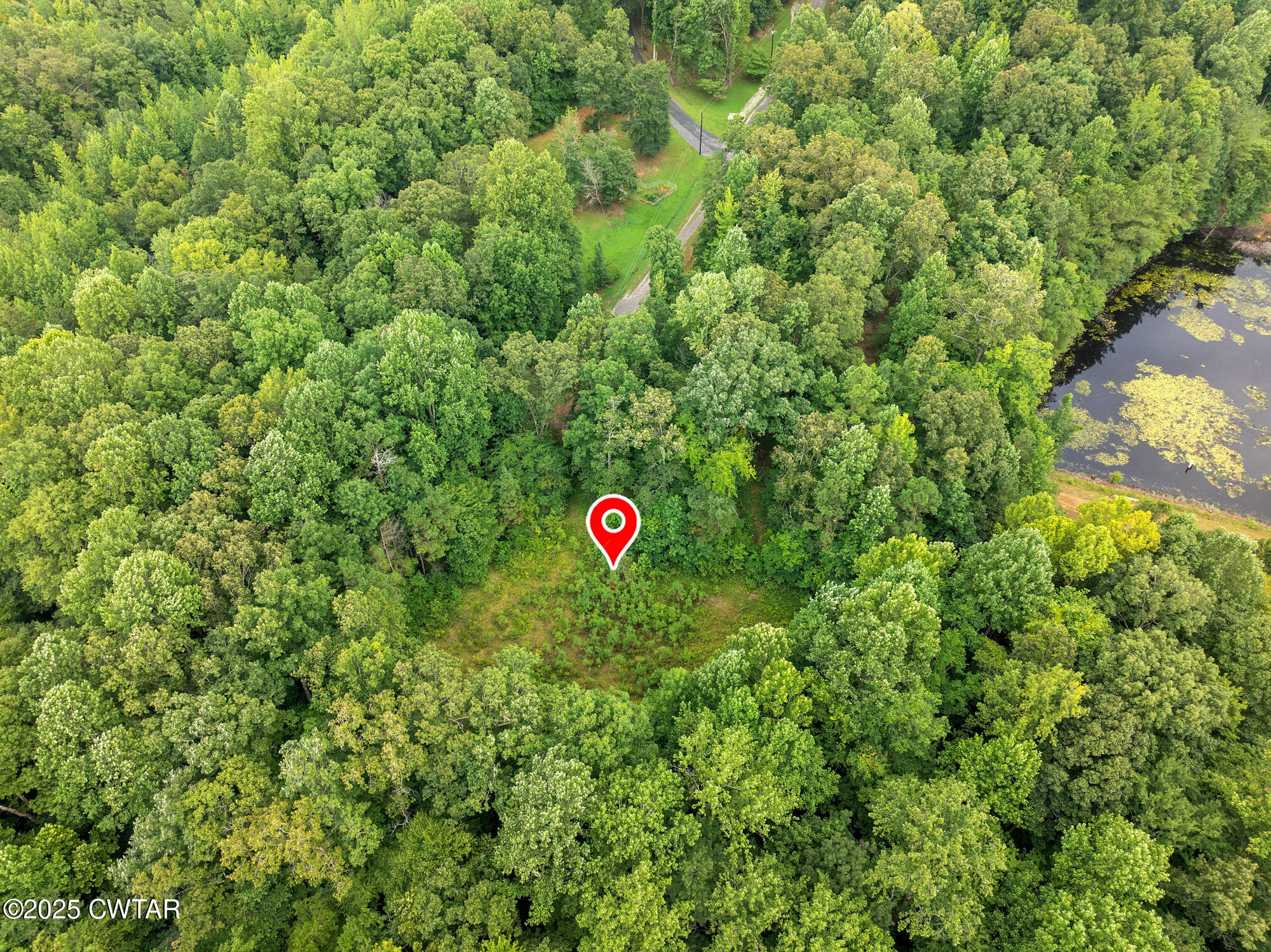 255 Jason Hollow Road Cedar Grove, TN 38321 - Photo 8 of 17 a view of a and white house