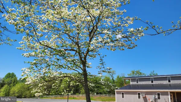 a view of a tennis court