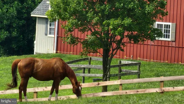 $749,000 | 6478 Laurel Hill Lane, Rixeyville, VA 22737