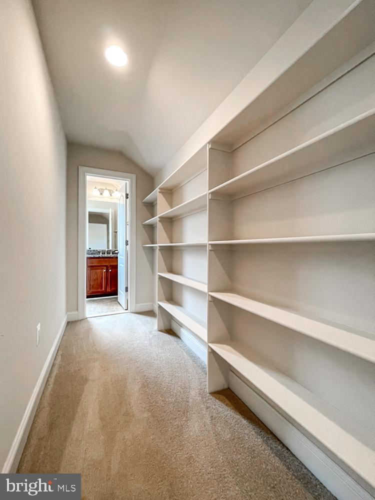 6727 Cedar Spring Road Centreville, VA 20121 - Photo 64 of 86 Gallery Image 64