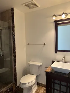 a bathroom with a sink a toilet and shower