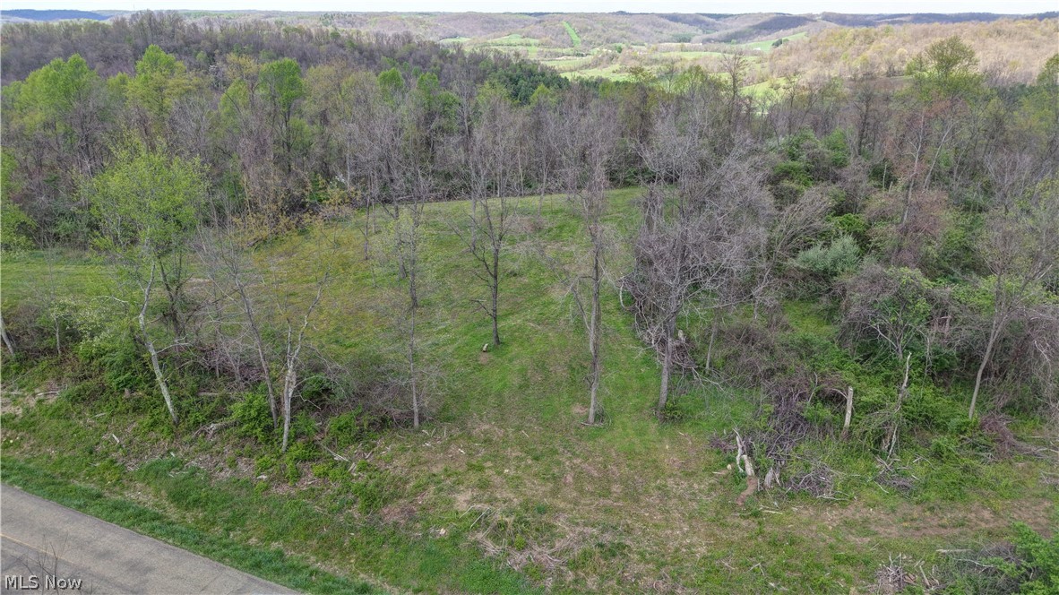 Deersville Ridge Road Cadiz, OH 43907 - Photo 9 of 41