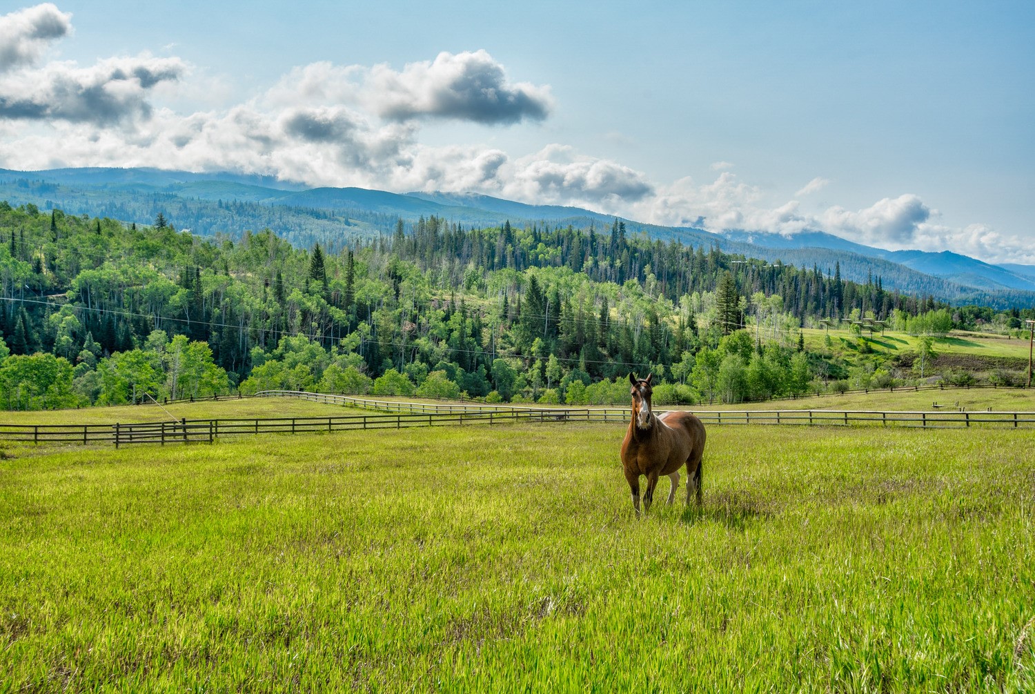 31775 Bradley Ranch Steamboat Springs, CO 80487 - Photo 20 of 49 a view of a lake view