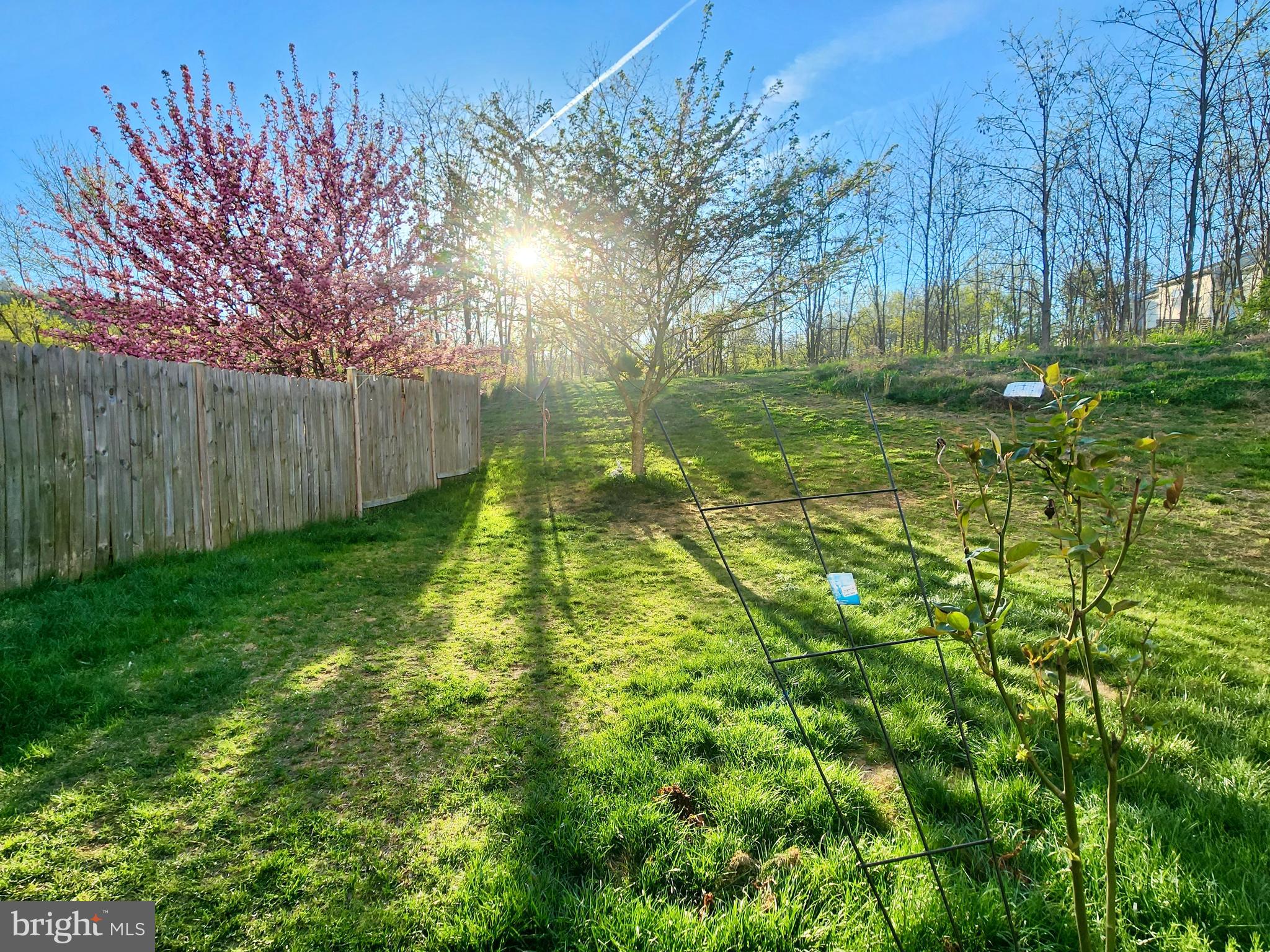 215 Rumbling Rock Road Hedgesville, WV 25427 - Photo 45 of 48 Gallery Image 45