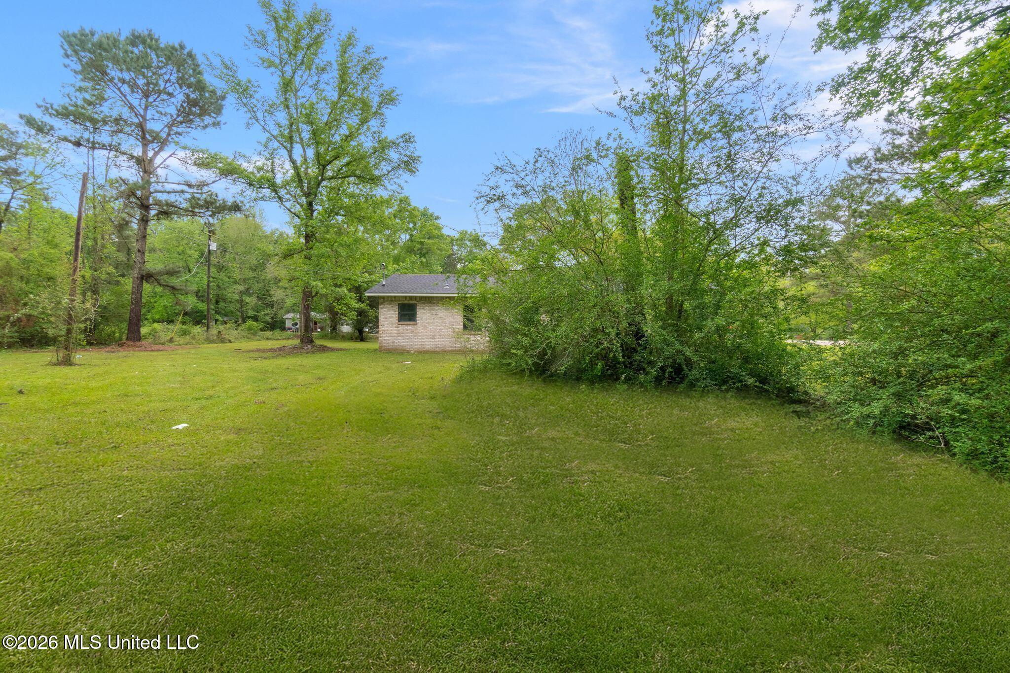 431 St Paul Road Tylertown, MS 39667 - Photo 25 of 29 431_St_Paul_Rd-27_FINAL