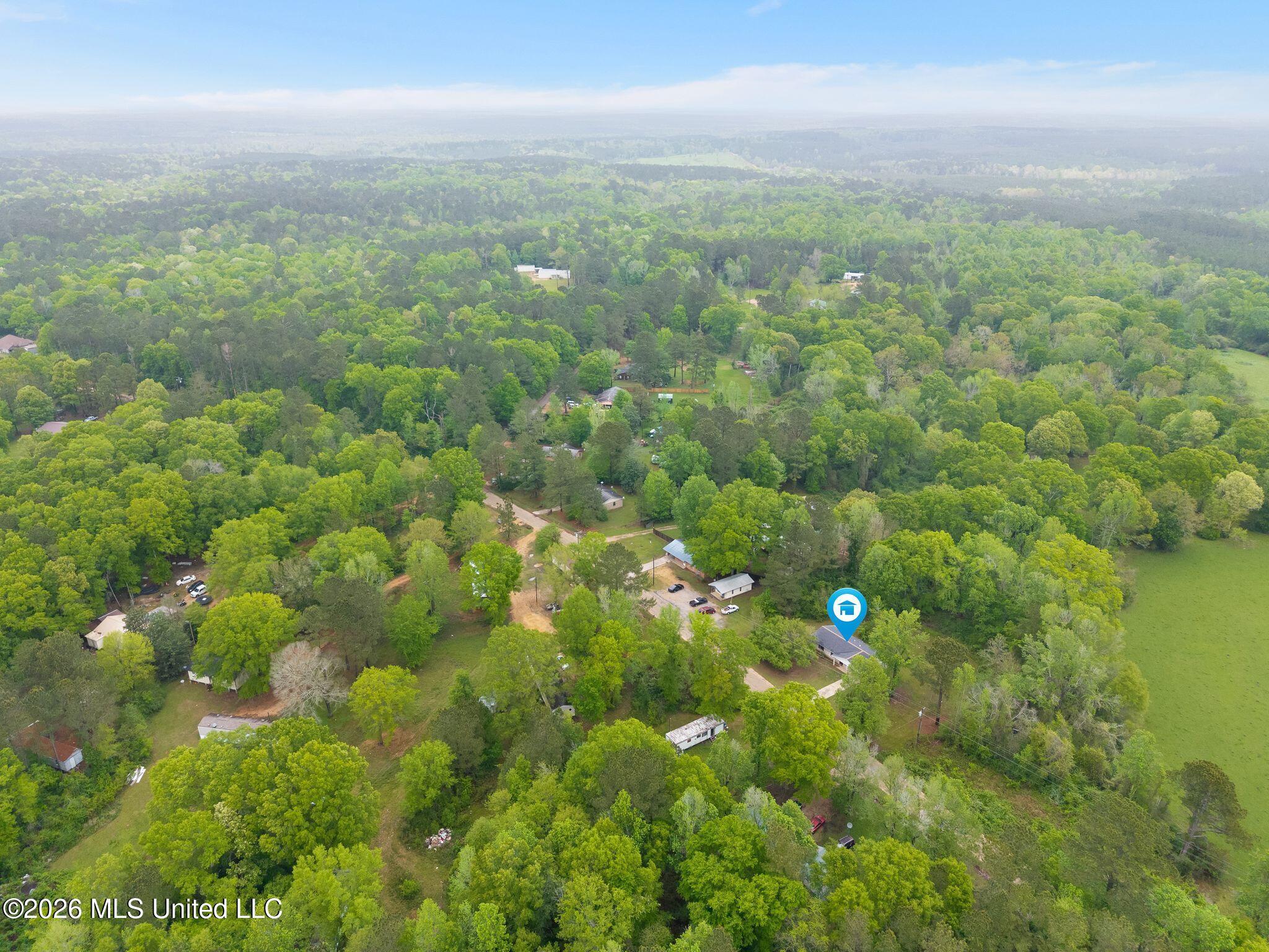 431 St Paul Road Tylertown, MS 39667 - Photo 30 of 32 431_St_Paul_Rd-31