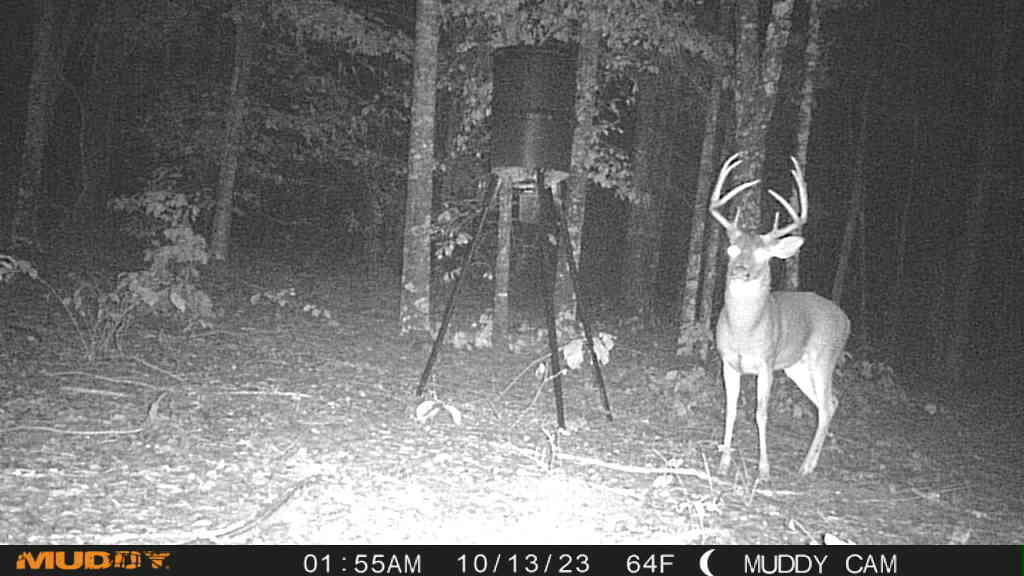 1924 Corley Road Hephzibah, GA 30815 - Photo 24 of 34 buck 1