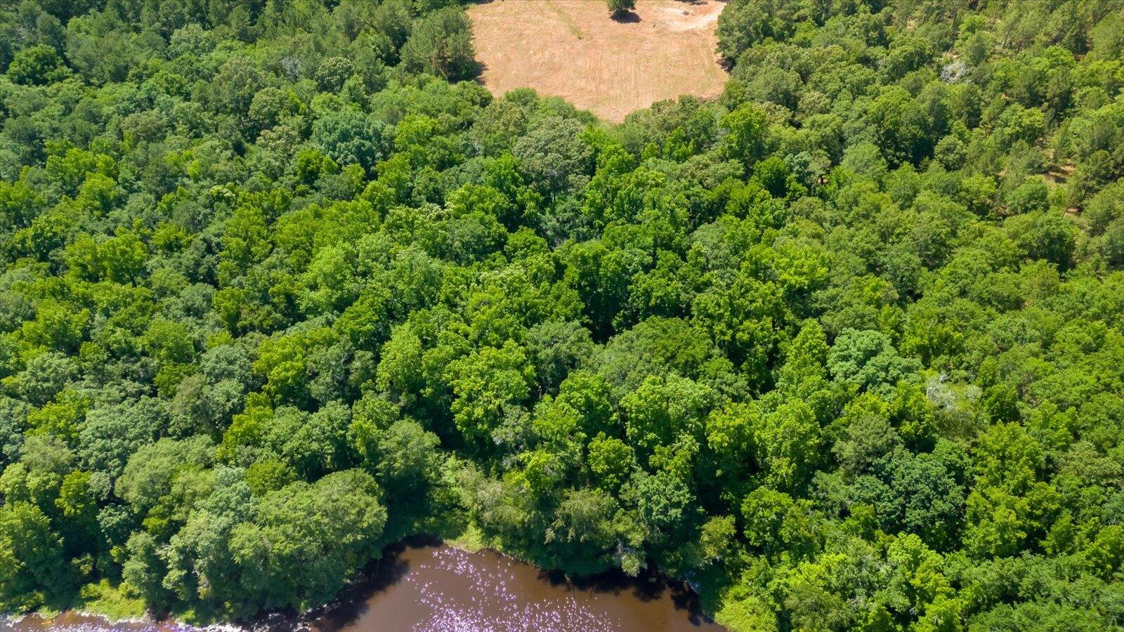 1924 Corley Road Hephzibah, GA 30815 - Photo 8 of 34 03-003-