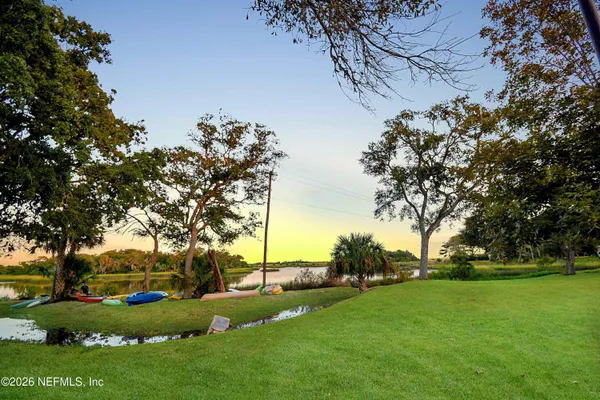 a view of a park with large trees