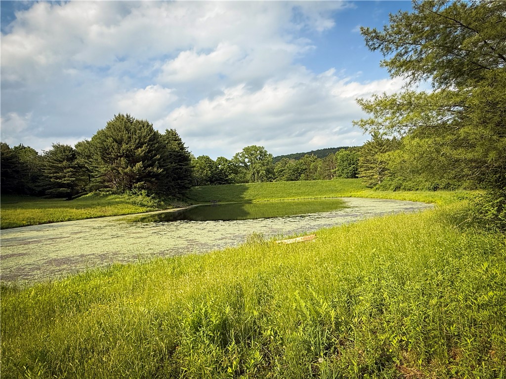 450 Dean Creek Road Spencer, NY 14883 - Photo 31 of 50