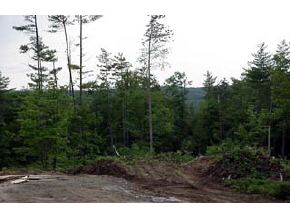 Lot2-4 Oak Hill Road Northfield, NH 03276 - Photo 3 of 3 Gallery Image 3