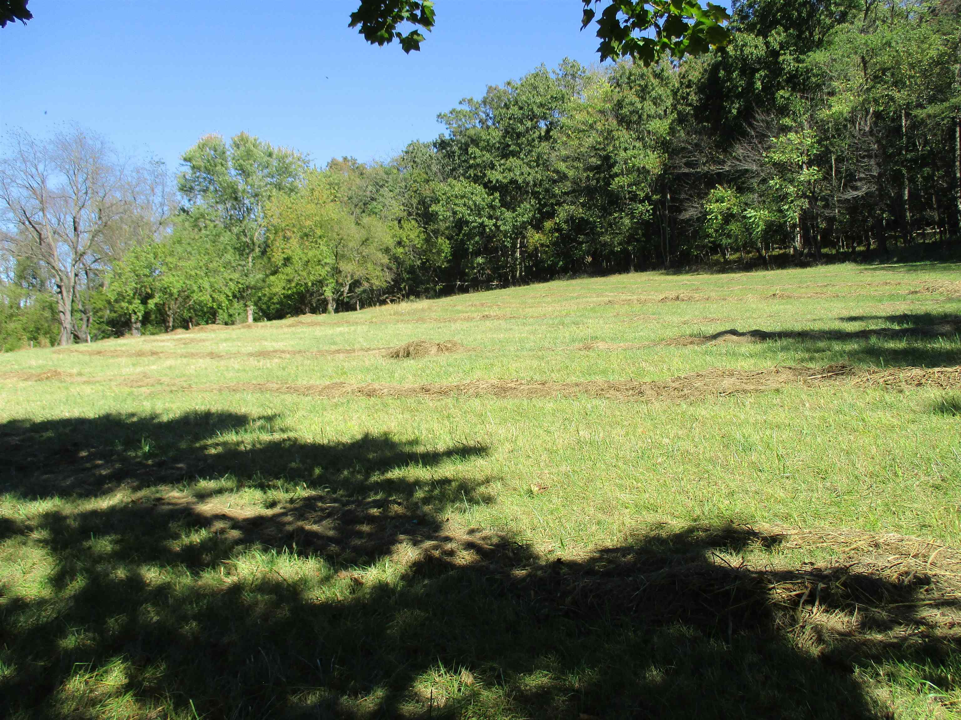 9720 Daphna Road Broadway, VA 22815 - Photo 19 of 20 Gallery Image 19
