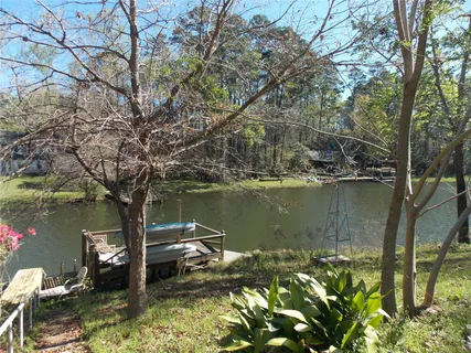 a view of a lake with a large trees