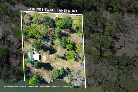 a view of a garden with plants